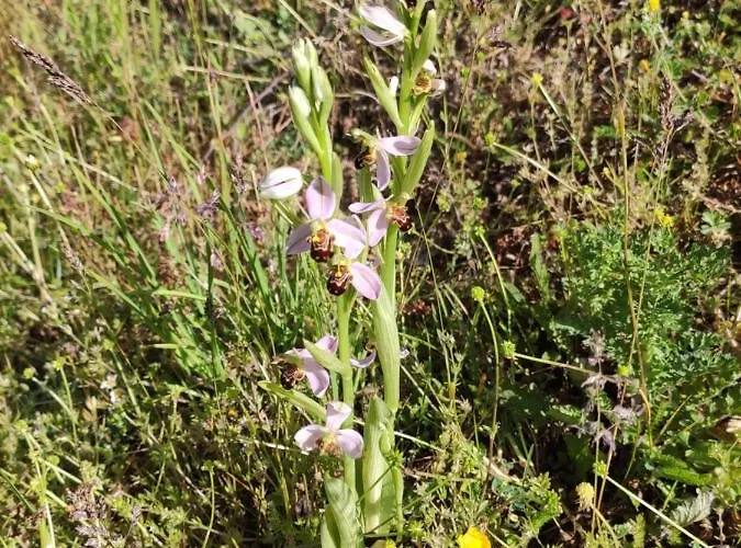 4,6 Personnes Fécamp Etretat Camping