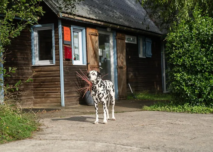 Camping 4,6 Personnes Fécamp Etretat Colleville